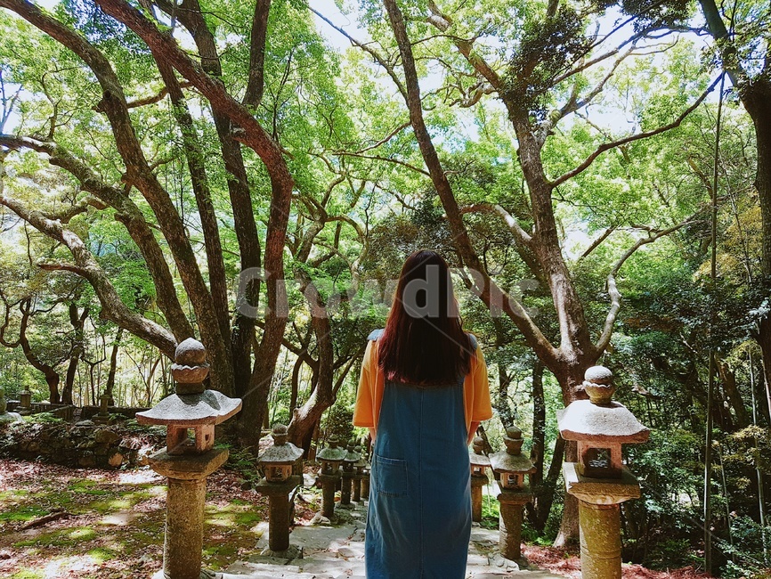 대마도,뒷모습,여자뒷모습,숲,산속,절,초록,자연,풍경,nature,landscape,사람,인물,인간,human,person,여성,여자,woman,female,lady,garden,정원,outdoors,옥외,arbour,정자
