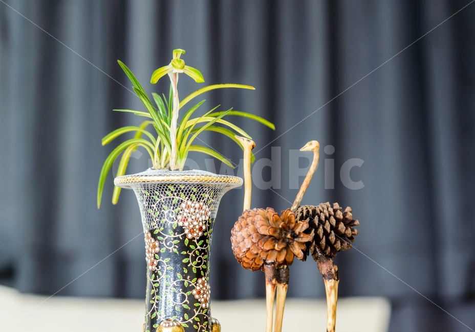 감성,꽃,솔방울공예,난꽃,춘란,식물,자연,plants,nature,예술,art,인테리어,실내디자인,interior design,사물,물건,오브젝트,thing,object,matter