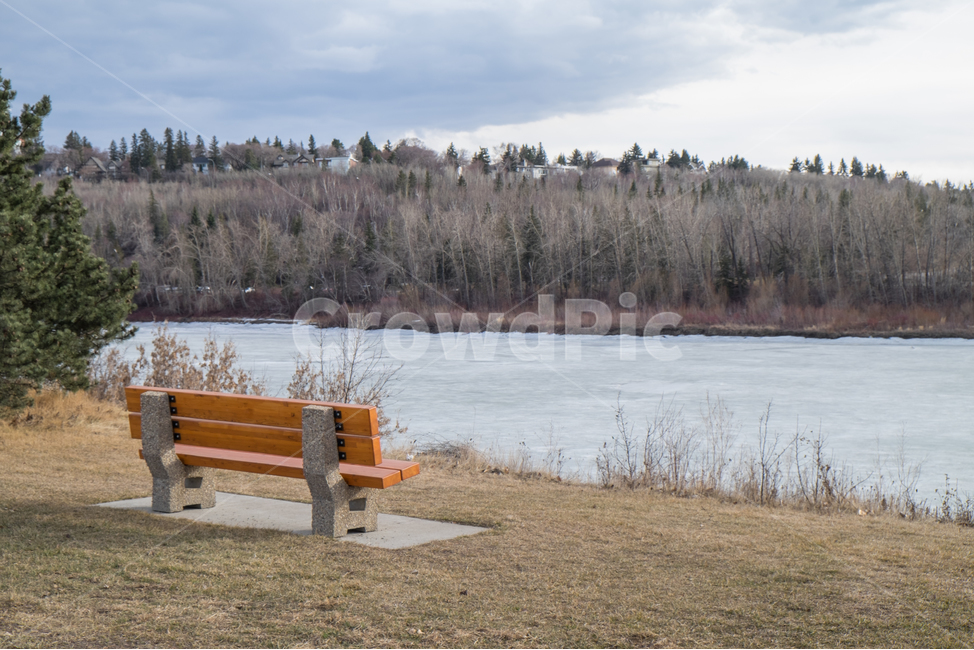 캐나다,canada,에드먼튼,edmonton,알버타,alberta,겨울,벤치,쌀쌀,겨울풍경,자연,풍경,nature,landscape,bench