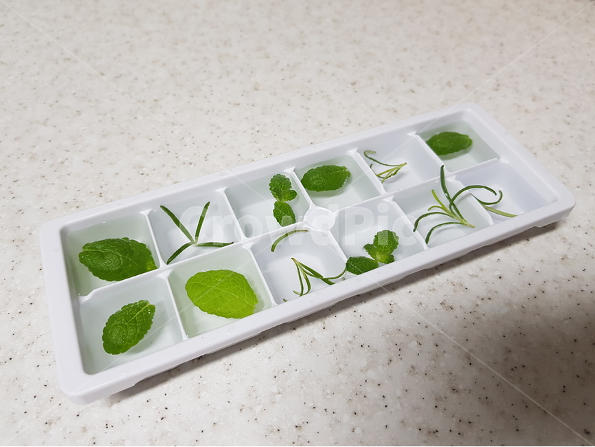 허브얼음,허브,얼음,herb,허브아이스,herbice,로즈마리,애플민트,rosemary,applemint,여름,계절,summer,season