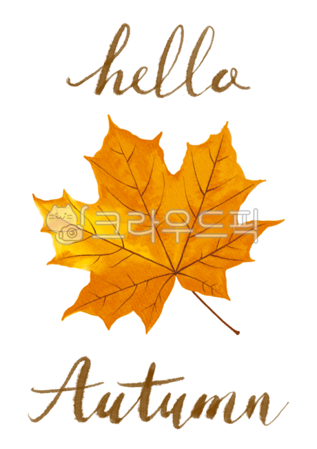 november,Botanical,Maple leaf,botanical,drawing,english,season,decoration,handwork,natural,hand drawing,tree,brown,watercolor,closeup,background,plant,october,autumn,Watercolor,poster,calligraphy,colorful,lettering,Callie,seasonal,botany,bright,isolated,y