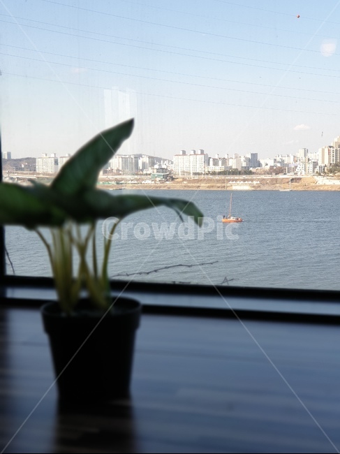 한강,요트,맑은,물,초점