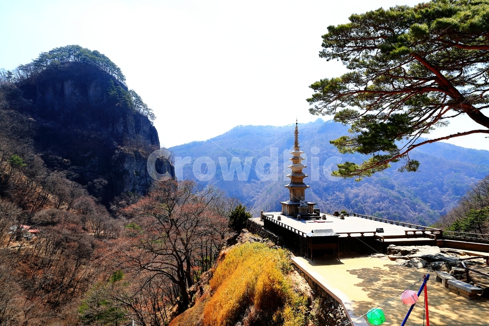 탑,청량사,산,절,청량산,소나무,한국전통,한국문화,korean traditional,korean culture,조각상,동상,석상,조형물,statue,bronze statue,stone statue,종교,신앙,religion,belief,faith