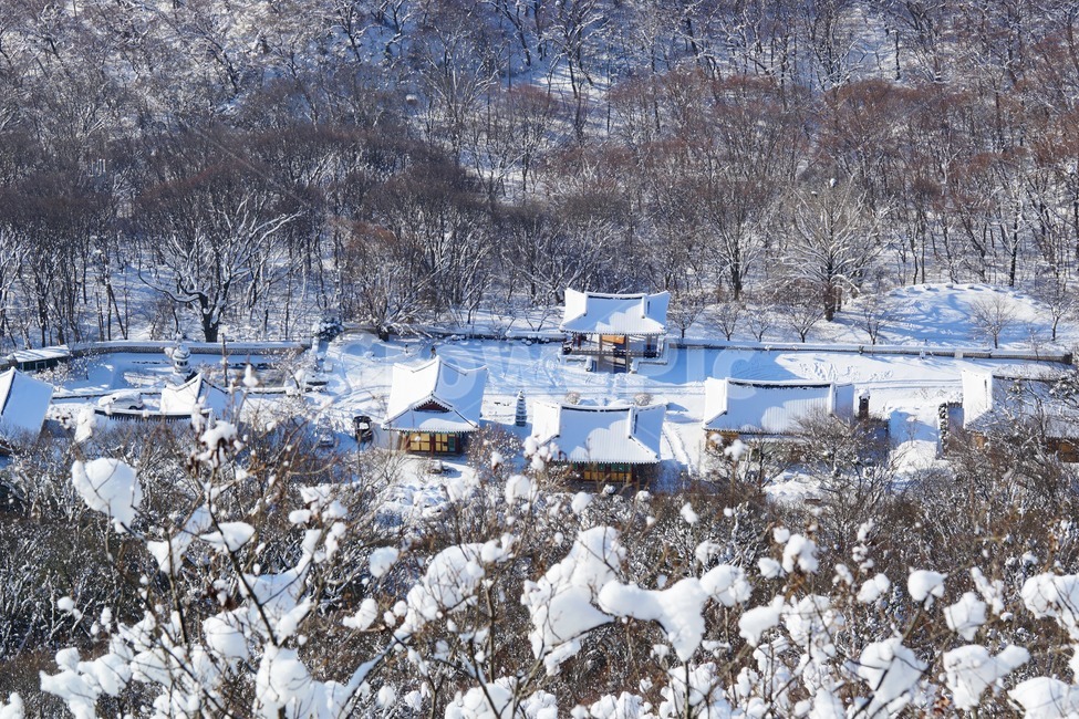 겨울,설경,벽련사,내장산,국립공원,사찰,겨울,계절,winter,season,한국전통,한국문화,korean traditional,korean culture,건축물,건물외관,exterior,building,structure,architecture,construction