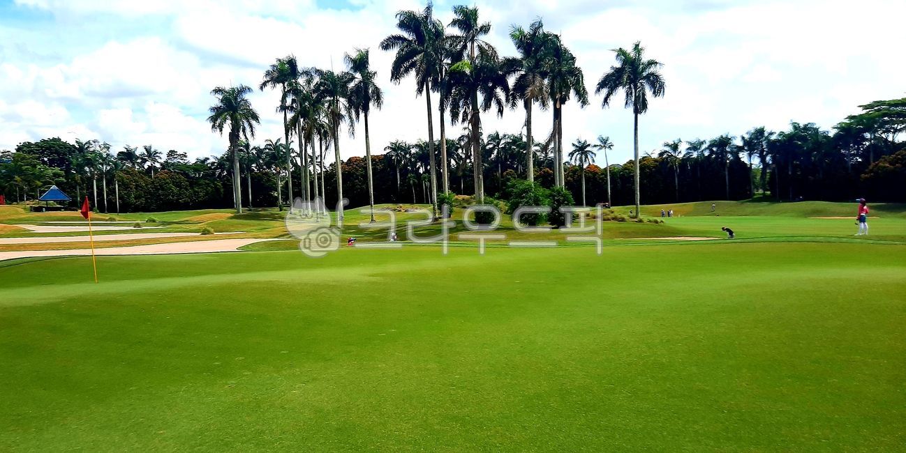 field,golf course,fairway,Indonesia Golf,golfcourse,Southeast Asia Golf