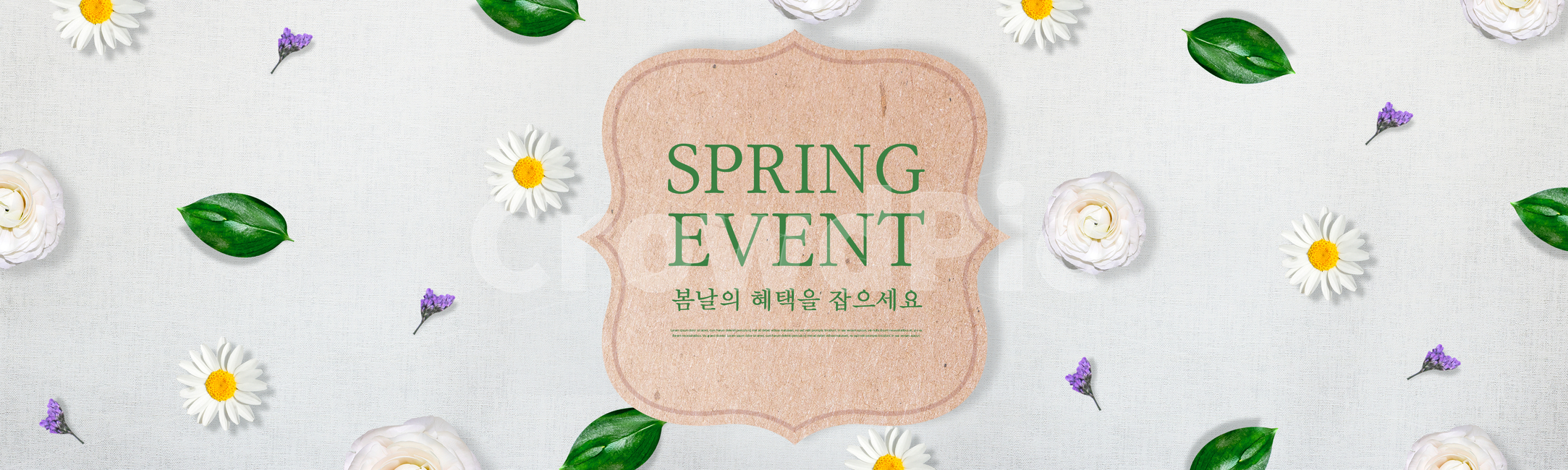 패턴,잎,국화,라넌큘러스,드라이플라워,봄,배너,쇼핑,꽃,이벤트,봄,계절,spring,season,축제,행사,festival,carnival,event,그래픽,일러스트레이션,graphic,illustration,label,상표