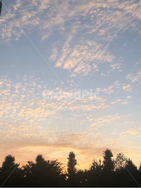 nature,자연,나무,하늘,노을,redsky,sky,해질녘,구름
