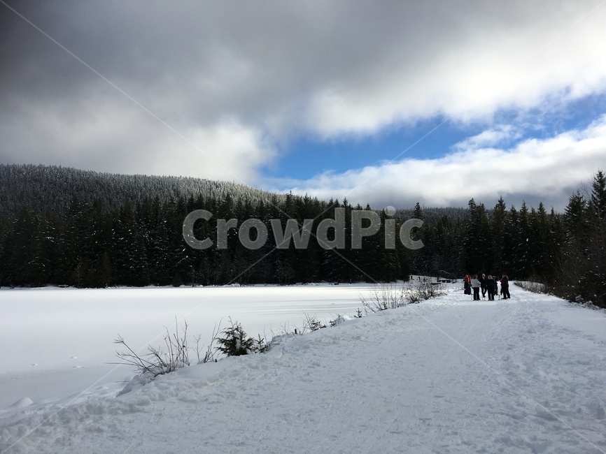 눈,배경,미국,겨울,trilliumlake,겨울,계절,winter,season,자연,풍경,nature,landscape,tree,나무,fir,전나무,plant,식물