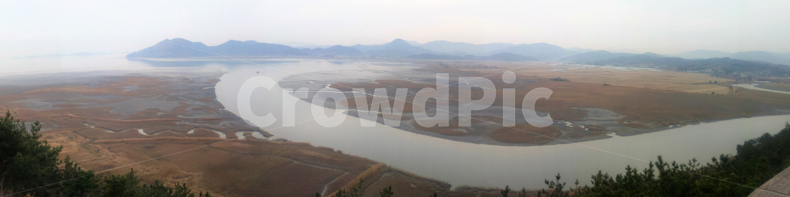 습지,순천,풍경,자연,경치,scenery,nature,landscape