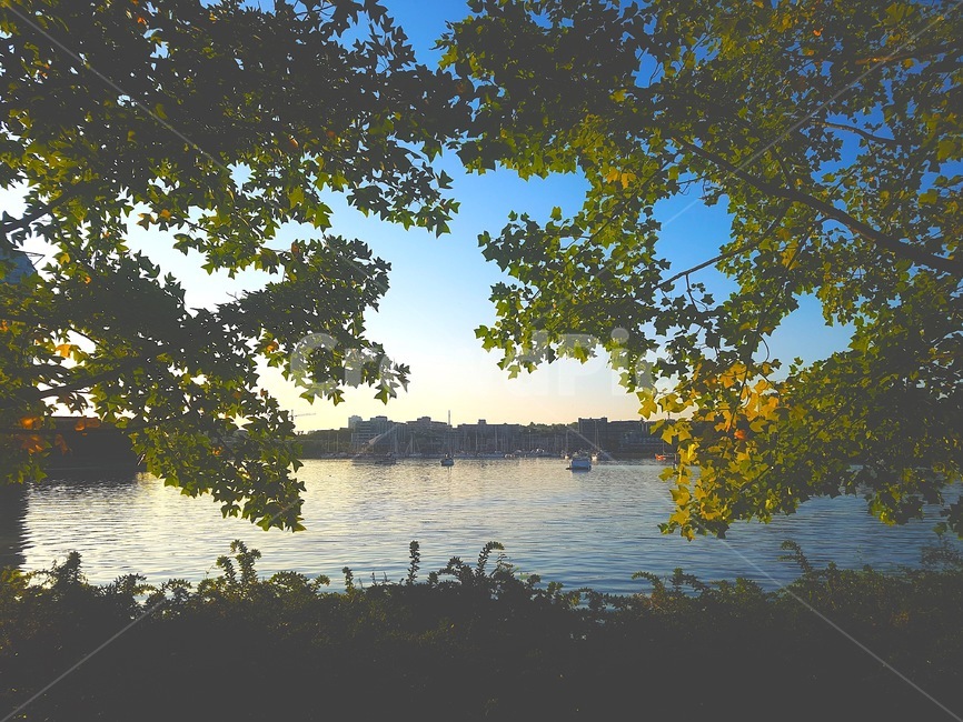 나무,하늘,분위기,색감,바다,자연,풍경,nature,landscape,tree,plant,식물,water,물,outdoors,옥외
