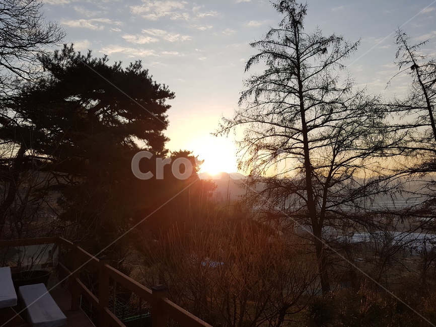 일출,하늘,해,sunrise,sun,새해,newyear,sky
