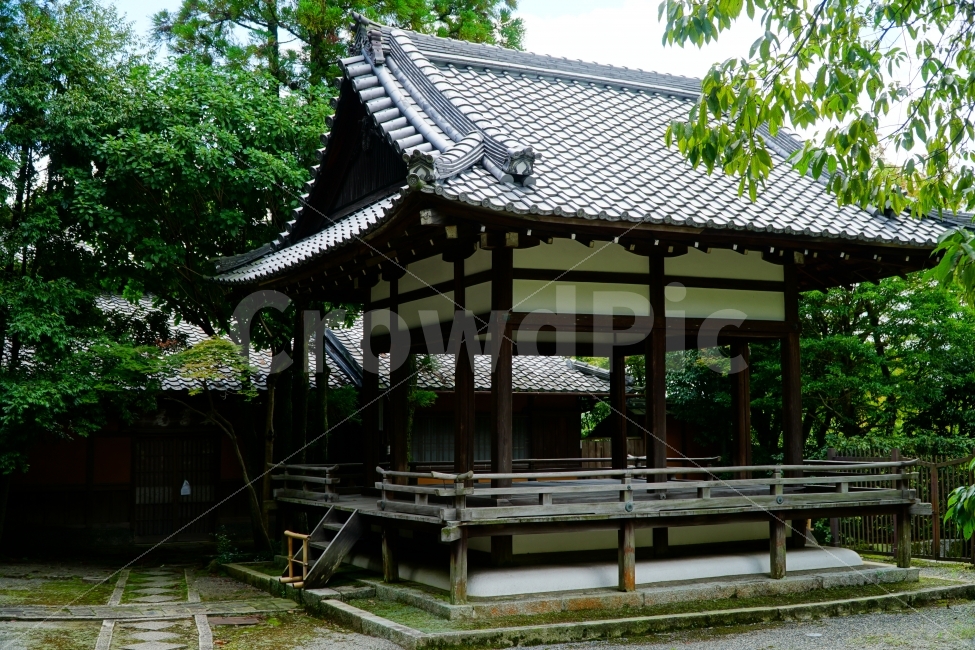 일본,일본여행,외국,외국여행,해외,해외여행,여행,교토,쿄토,kyoto,지온인,치온인,지은원,일본문화,문화,일본문화재,문화재,역사,일본유적,일본유적지,유적,유적지,유네스코세계문화유산,japan,아시아,asia,동양,일본식한옥,일본식가옥,일본식건축,일본역사,나무,공원,tree,자연,풍경,불교,절,사찰,종교,신앙,소원,소망,history,히스토리,건축물,건물외관,exterior,building,structure,architecture,construction,해외,외국,세계,foreign,oversea,world,랜드마크,landmark,tourist attraction,종교,신앙,religion,belief,faith