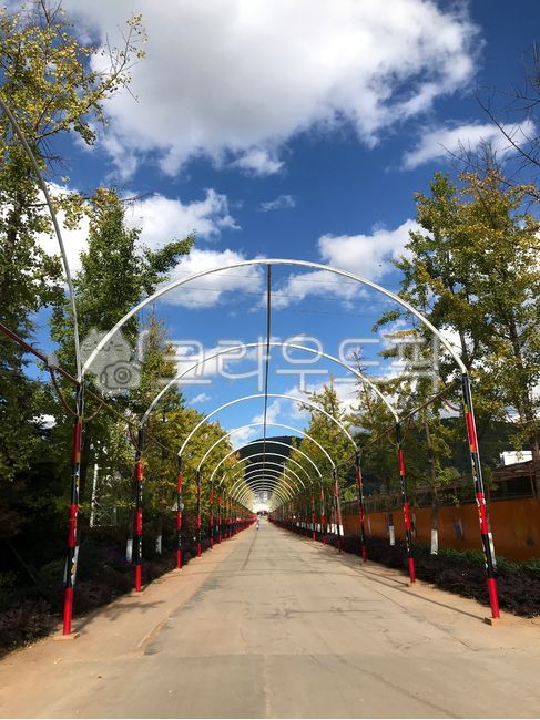 cloud,background,colonnade,tree,weather,autumn,Wallpapers,Sky of Autumn