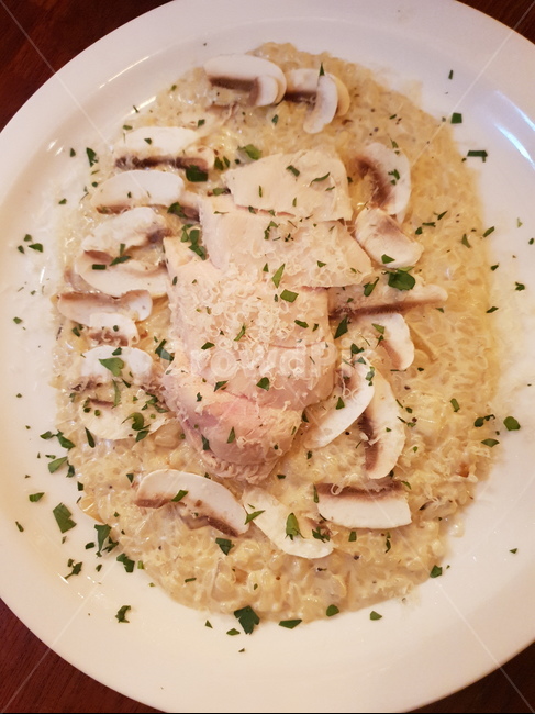 파스타,양식,닭고기,맛집,먹방