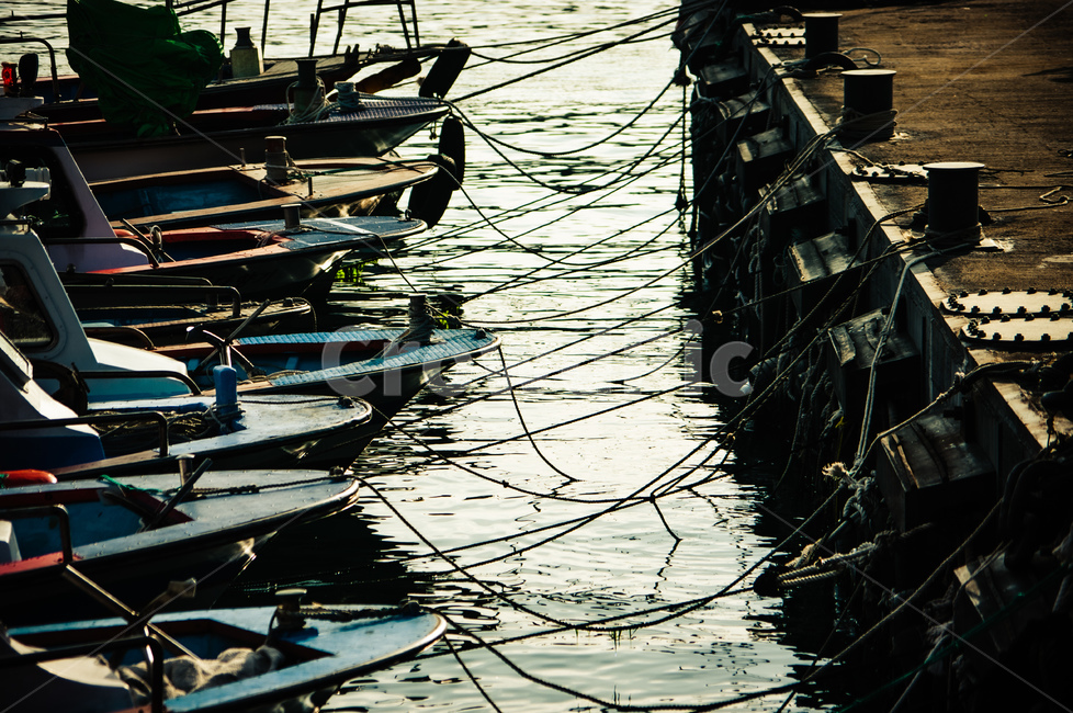 선박,물,water,배,어선,항,어업,fishery,fishing industry