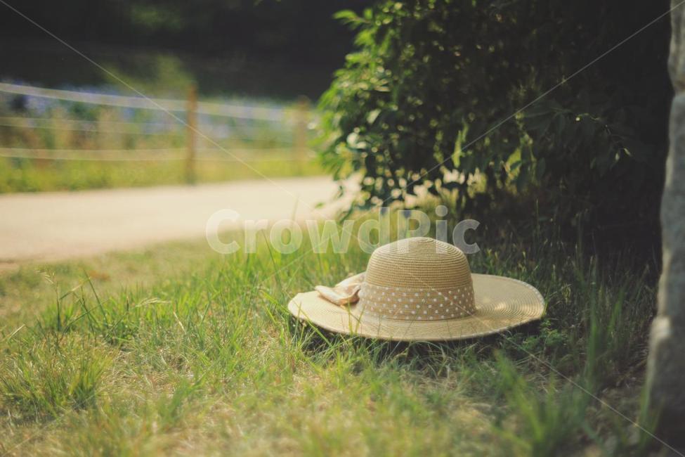 모자,공원,잔디밭,잔디,공원길,나무,나뭇잎,brown,green,봄철,여행,휴가,traveling,vacation,trip,감성,sensible,feeling