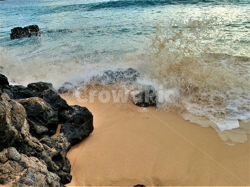파도,거품,beach,해변,자연,해변,바다,beach,sea