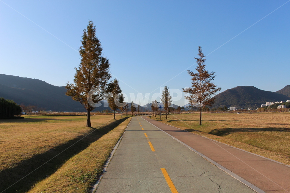 road,도로,tarmac,asphalt,아스팔트,freeway,highway,식물,자연,plants,nature,나무,trees,wood