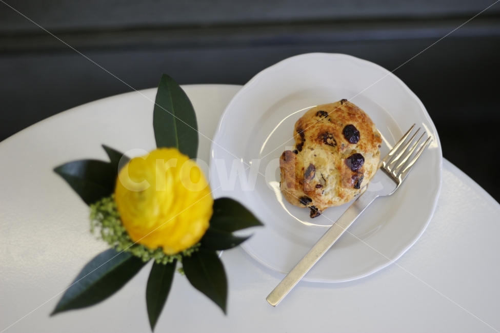 꽃,식물,카페,테이블,인테리어,탁자,감성,봄,flower,plant,cafe,interior,table,spring,blooming,warm,스콘,빵,디저트,건포도,베리,scone,bread,dessert,음식,식재료,요리,food,cook,meal,dishes,food reserves,디저트,간식,후식,dessert,snack