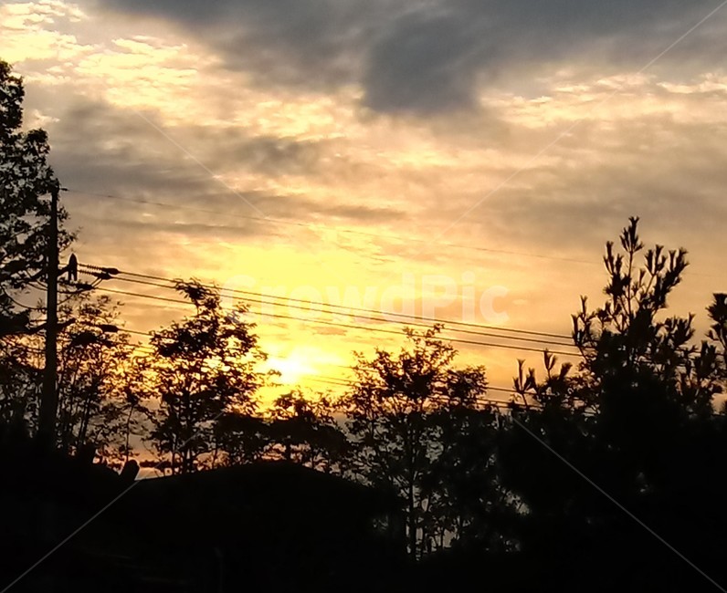sunrise,해돋이,일출,태양,nature,sunlight,자연,자연,풍경,nature,landscape,outdoors,옥외