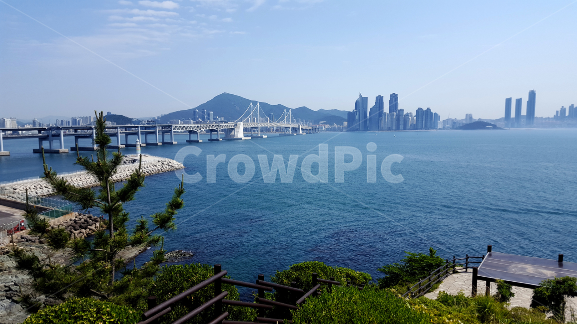 nature,자연,교량,다리,바다,물,풍경