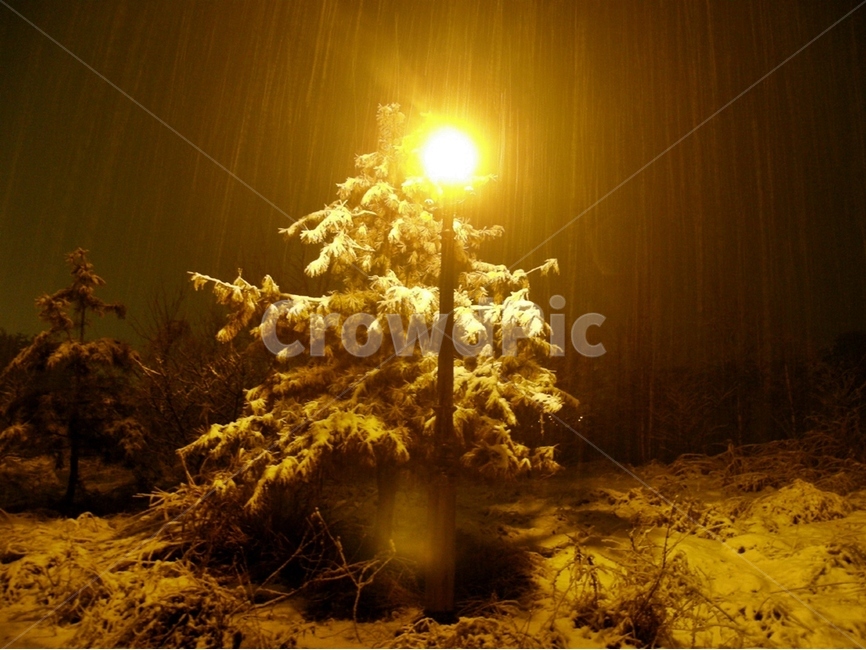 진눈깨비,눈,설경,자연,nature,snow,tree,나무,풍경,landscape,날씨,기상현상,밤,조명,가로등,불빛,겨울,winter,light,weather,night,view,겨울풍경,겨울,계절,winter,season,야경,밤,풍경,nightscape,night,landscape,light,빛,flare,플레어,lighting,조명