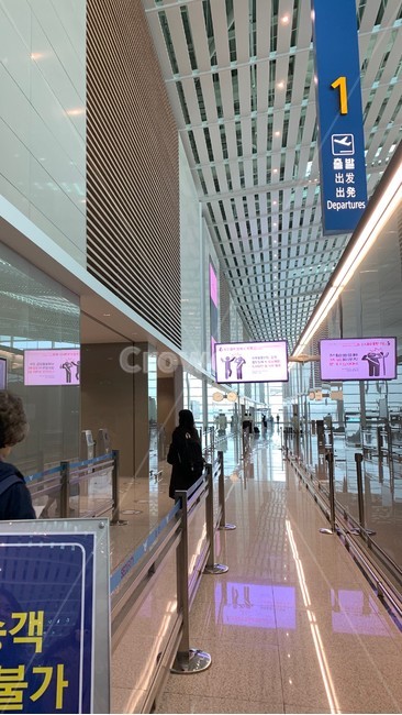 공항,비행기,출국,여행,게이트,뒷모습,여자뒷모습