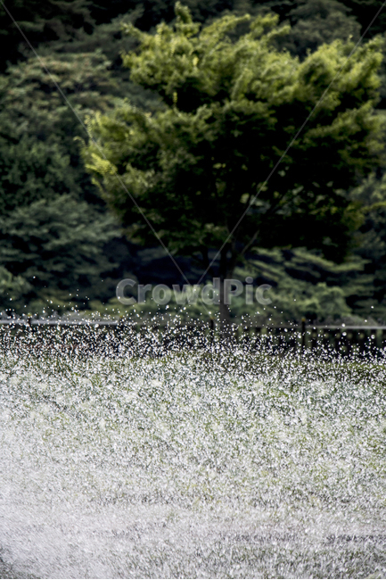 분수,물방울,공원,야외,여름,시원함,물줄기,연못,저수지,분수대,자연,풍경,nature,landscape