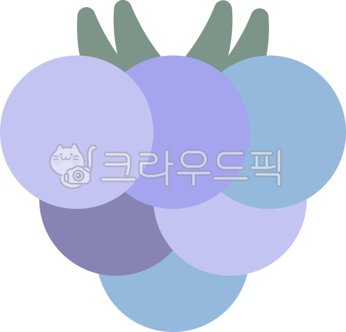 Fruit,fruit,Bokbunja,ingredients,food