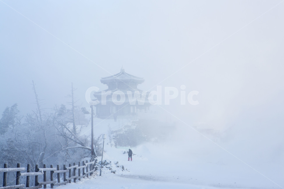 눈보라,눈꽃,풍경,상고대,자연,겨울,계절,winter,season,자연,풍경,nature,landscape,한국자연풍경,한국자연경관,korea nature landscape,outdoors,옥외,weather,날씨,human,인간,person,사람