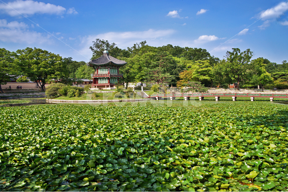 향원정,경복궁,향원지,연못,보물제1761호,취향교,고건축,고종,다리,수련