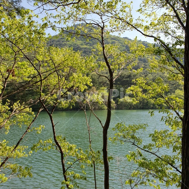 호수,강,하늘,나무,잔잔함,산,산속,물결,태양에비친호수