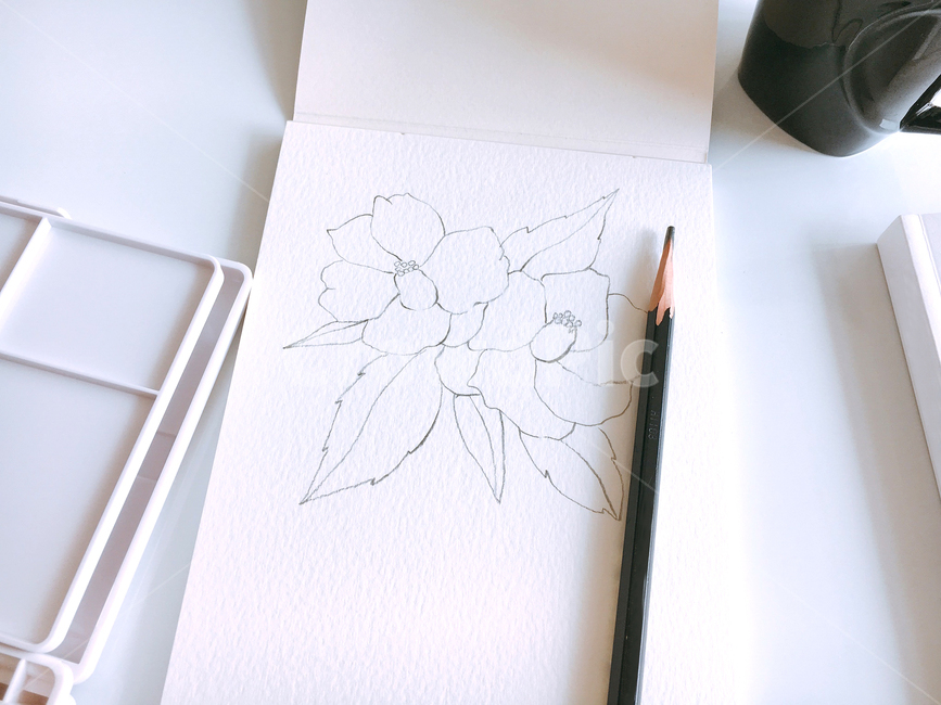 연필,스케치,그림,꽃그림,스케치북,예술,art