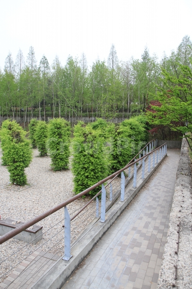 식물,나무,길,공원,녹음,휴식,자연,풍경,nature,landscape,banister,난간,handrail,railing
