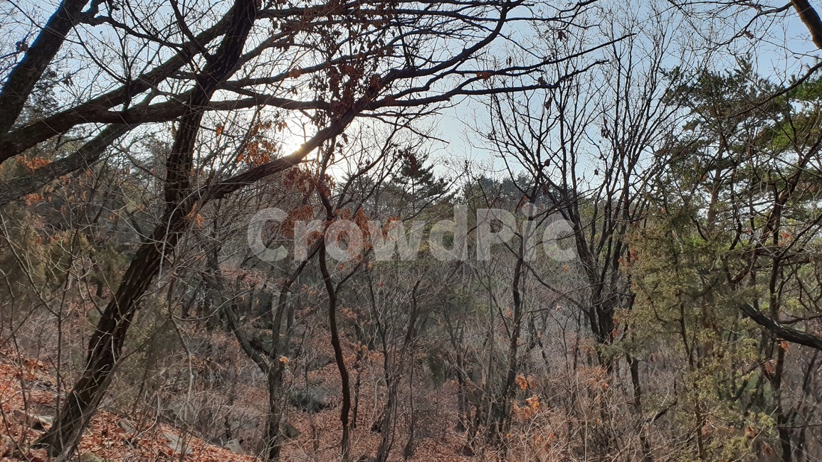 산,mountain,nature,자연,outdoors,옥외,countryside,한지방,hill,언덕,tree,나무,plant,식물,treetrunk,나무줄기,경치,전경,landscape