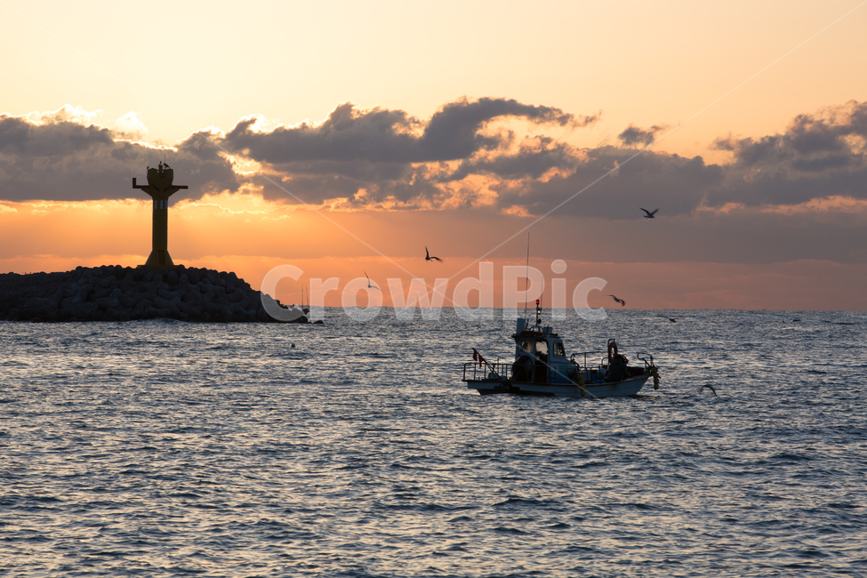 어업,일출,갈매기,낚시배,어부,등대,바다,어업,fishery,fishing industry