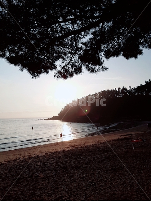 light,빛,flare,플레어,sea,바다,해변,beach