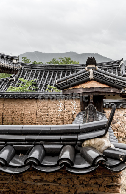 고택,기와,담장,선,문양,무늬,전통,한국전통,한국문화,korean traditional,korean culture,건축물,건물외관,exterior,building,structure,architecture,construction