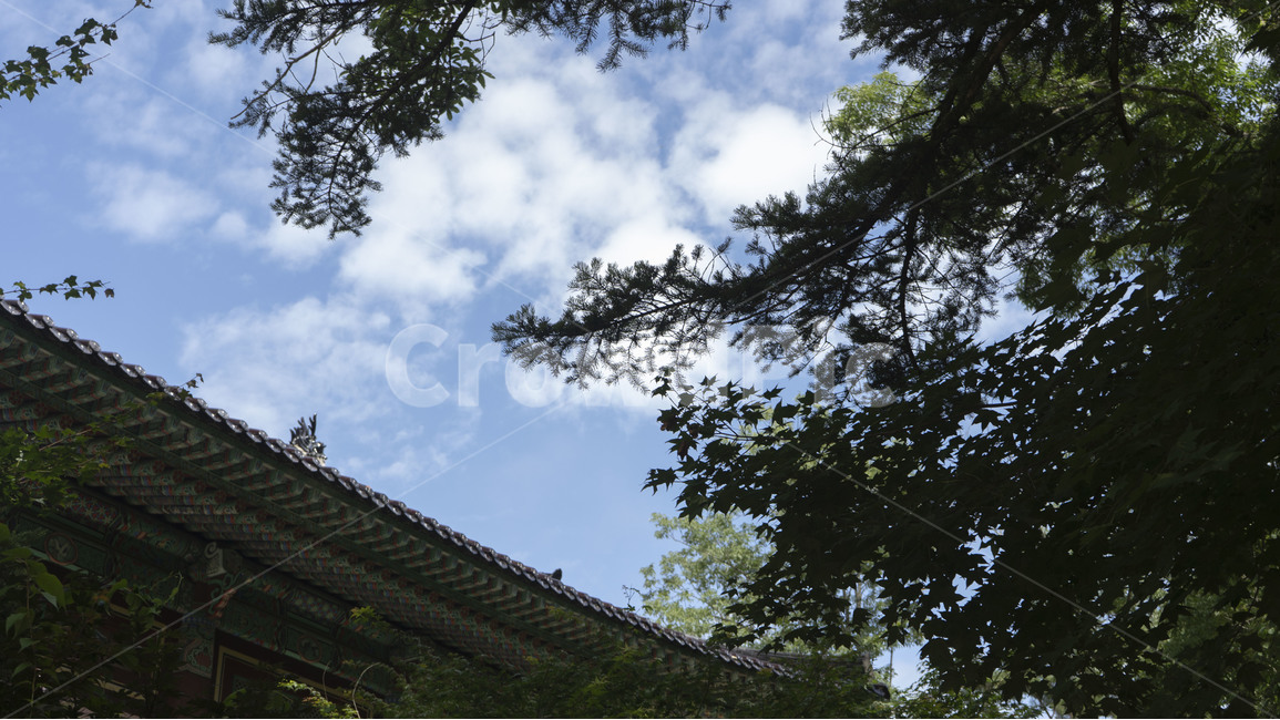 사찰,종교,하늘,나무,자연,조형,대비,구름,자연,풍경,nature,landscape,한국전통,한국문화,korean traditional,korean culture,porch,현관,outdoors,옥외,patio,안마당