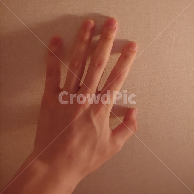 손등,손,손가락,핏줄,남자,사람,인물,인간,human,person,신체일부,몸,body