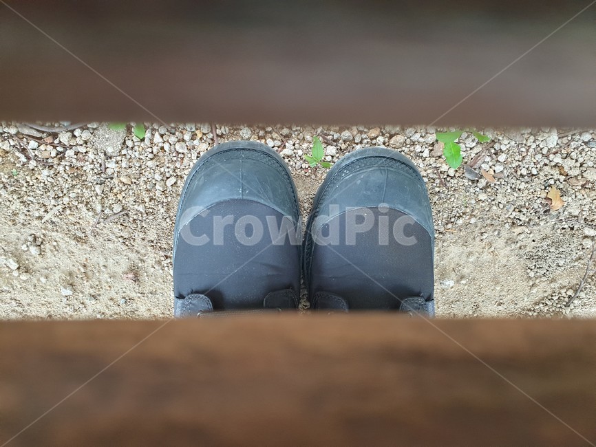 신발,벤치사이,가지런히,나무,운동화