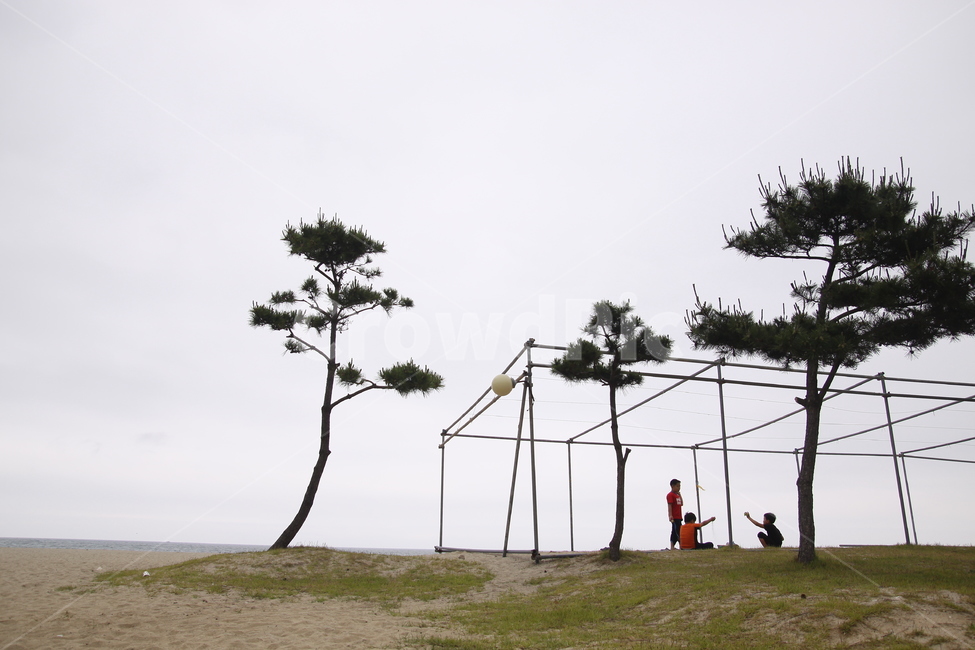바다,해변,아이들,사람,해송,놀이,수평선,모래,자연,풍경,nature,landscape,해변,바다,beach,sea,사람들,대중,군중,other people,crowd,영유아,아기,애기,아이,infants,baby,여행,휴가,traveling,vacation,trip,plant,식물,tree,나무