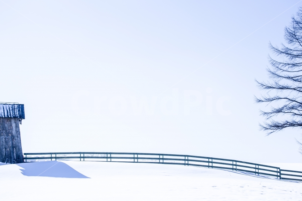 대관령,양때목장,눈,눈사진,겨울사진,풍경사진,자연,풍경,nature,landscape,겨울,계절,winter,season,architecture,건축물,building,건물