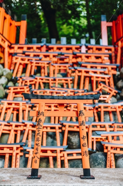 伏見稲荷大社,일본,여우신사,교토,후시미이나리,일본여행,여행,여행지,관광지,도리이,신사,japan,kyoto,temple,travel,touristspots,해외,외국,세계,foreign,oversea,world,조각상,동상,석상,조형물,statue,bronze statue,stone statue,종교,신앙,religion,belief,faith