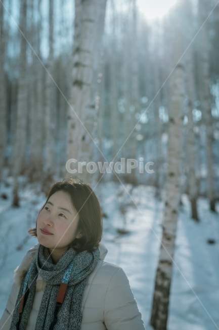 강원도,자작나무숲,겨울,겨울여행,눈,나무,모델,인물사진,겨울,계절,winter,season,사람,인물,인간,human,person,얼굴표정,facial expression,face,여성,여자,woman,female,lady,휴식,힐링,rest,relaxation,healing