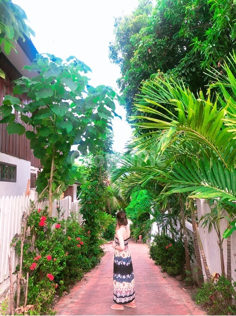 뒷모습,루앙프라방거리,동남아거리,원피스,outdoors,정원,garden