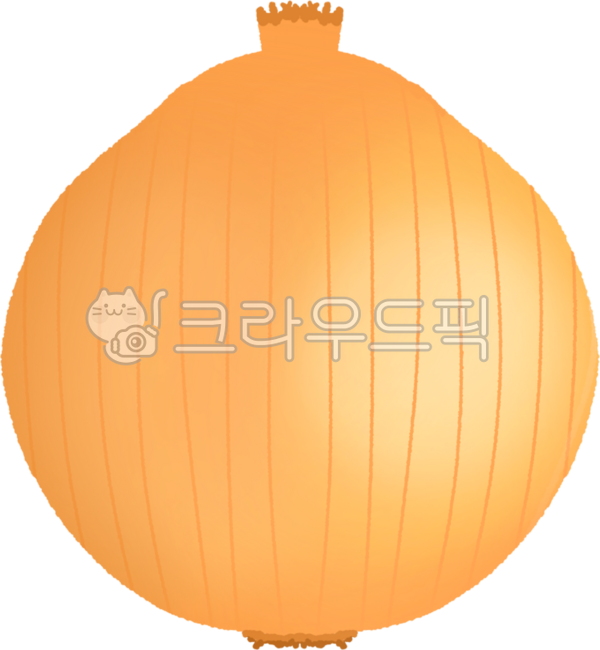 양파,양파일러스트,양파그림,양파모양,채소,채소일러스트,채소그림,채소모양,식재료,요리재료,식물
