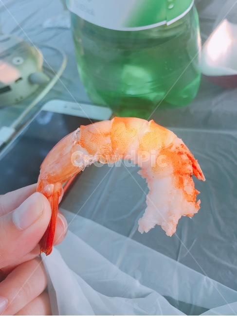 새우,깐새우,해물,수산물,해물요리