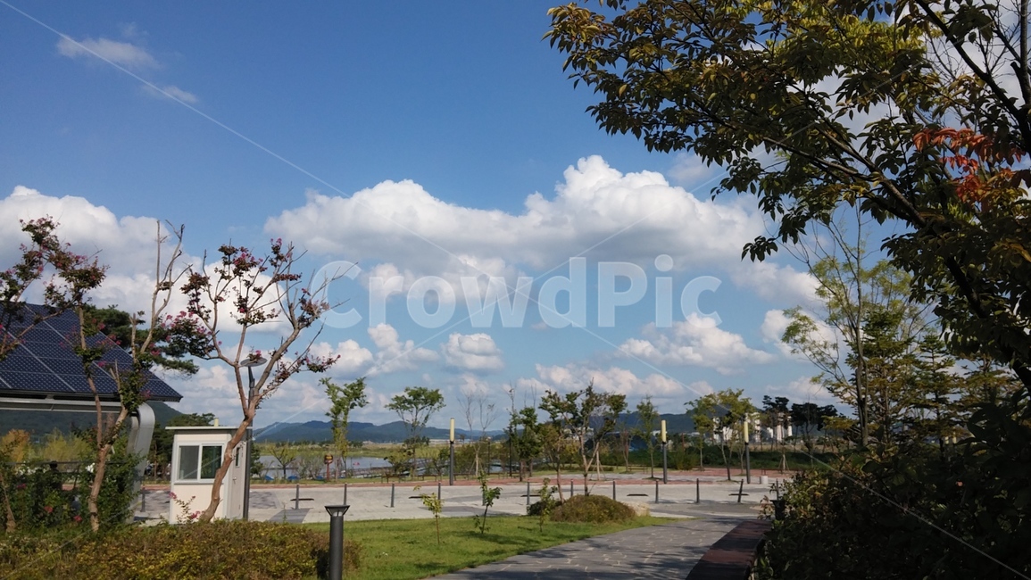 tree,나무,outdoors,옥외,야외,소풍,공원,하늘,배경,배경화면,구름,푸른