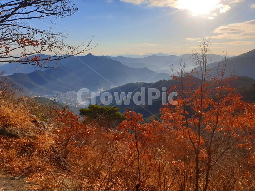 nature,자연,tree,나무,plant,산맥,산,mountainrange,운해,구름,일출